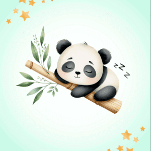 Pannello Pandini (Grafica esclusiva)