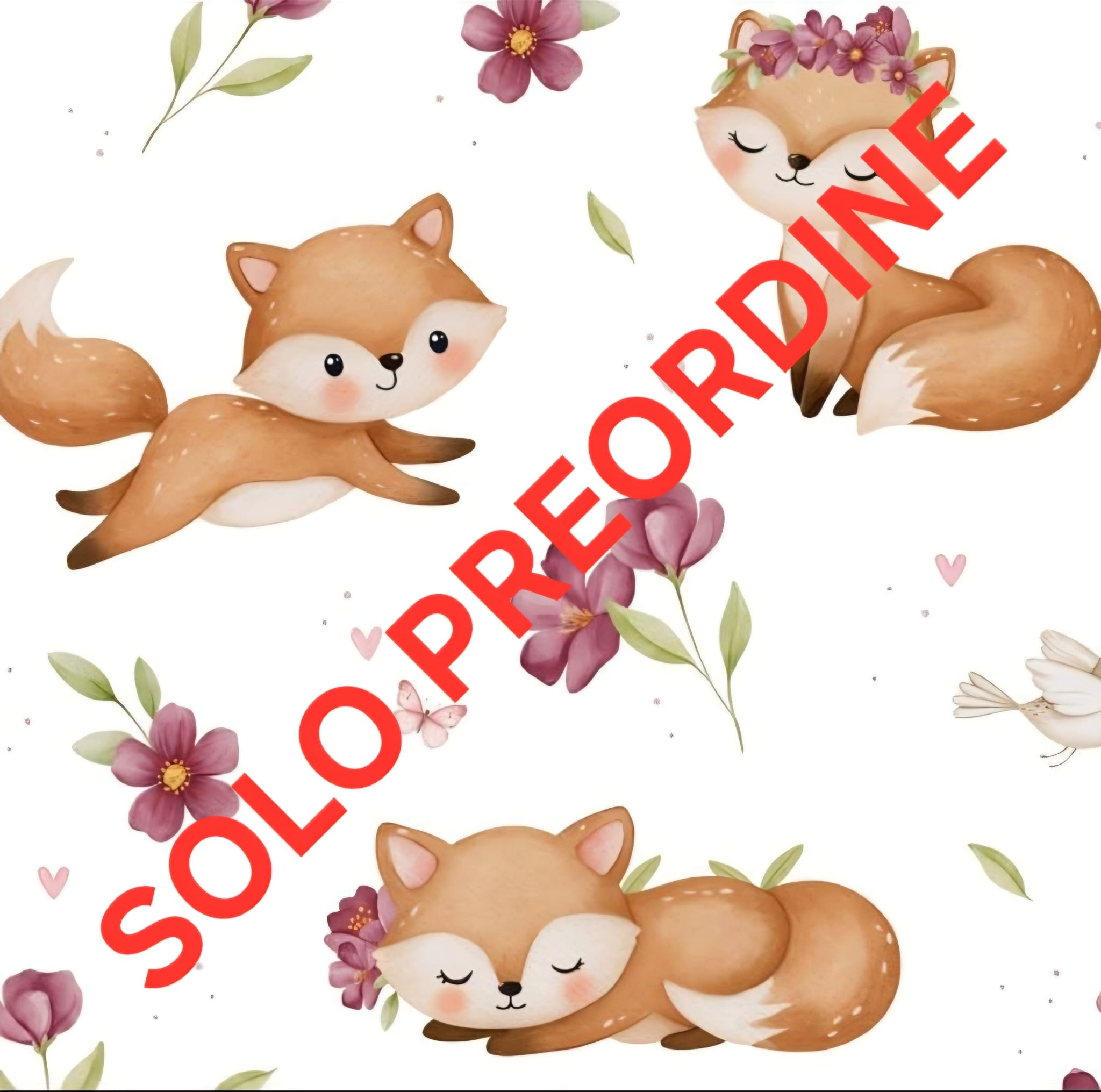 Preordine Volpine base bianca (Grafica Esclusiva)